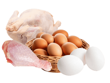 category_chicken