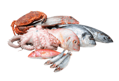 category_seafood